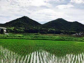 高御位山