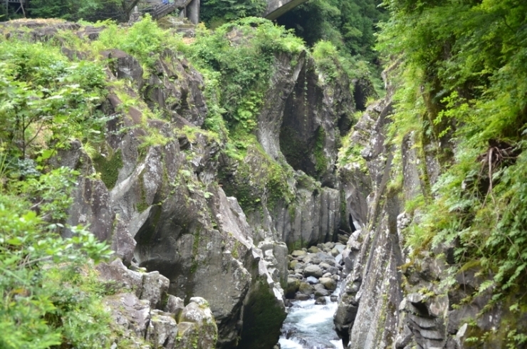 夏の峡谷は気持いいですよ。