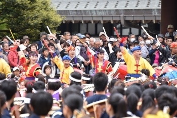 成田太鼓祭