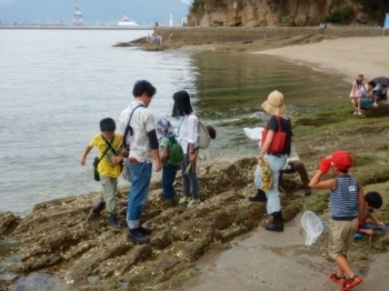 過去の海の生き物観察の様子（2）