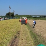 志木市の『田んぼ体験ツアー』の田植えと収穫に行ってきました！！