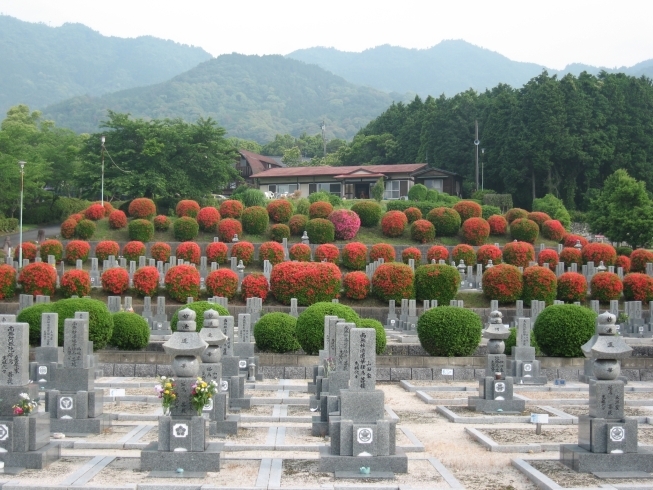 「永寿園霊所」烏帽子岳の緑の風が薫る霊園。四季折々の花が出迎えてくれます。