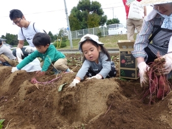 おばあちゃん、ここにも大っきいさつまいもがあるよ♪