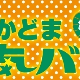 第4弾かどま元気ミニバル　カタログダウンロード