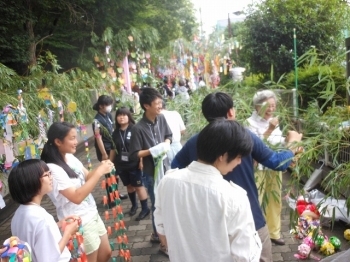 自治会や学校、サークルの笹飾り準備