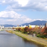 京都　紅葉穴場スポット　鴨川河畔