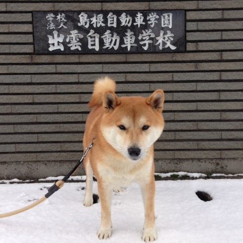 「平成25年も よろしくお願いします」