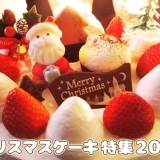 子育てママ必見！子どもが喜ぶクリスマスケーキ特集！