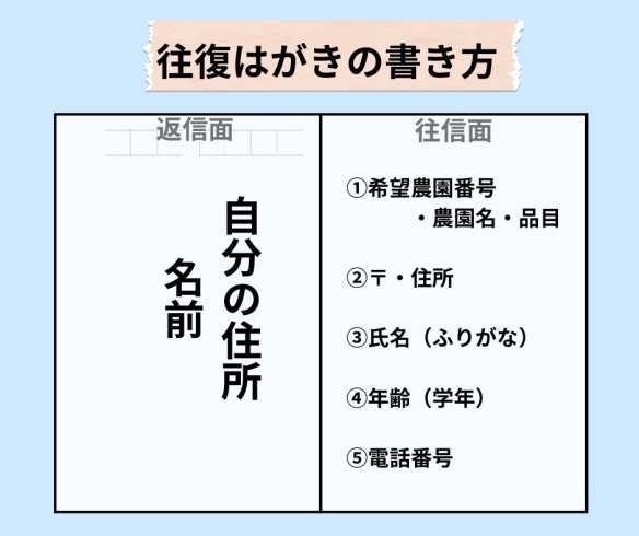 「ふれあい農園（落花生・さつま芋・里芋）募集始まりました！」