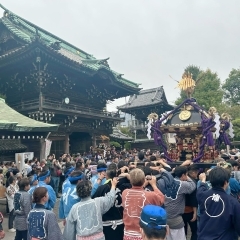 令和5年【柴又八幡神社大祭】数年ぶりに「柴又神輿」が帰ってきました！