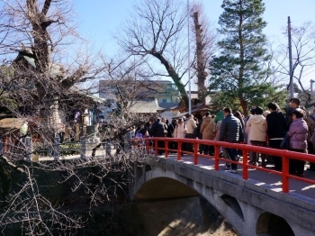坂川にかかる橋にも行列が続いています。