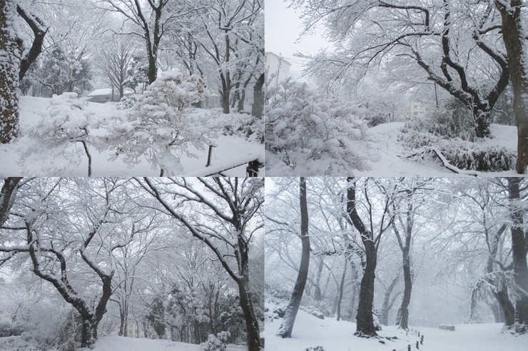 どこの　リゾート地なのだろうか　雪景色はマジシャンのように