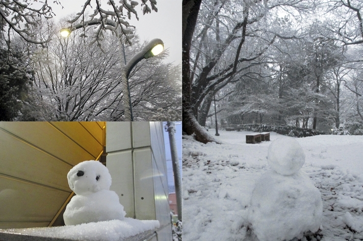 雪だるま　目無しダルマに　変顔だるま　それと　街灯だるまだ