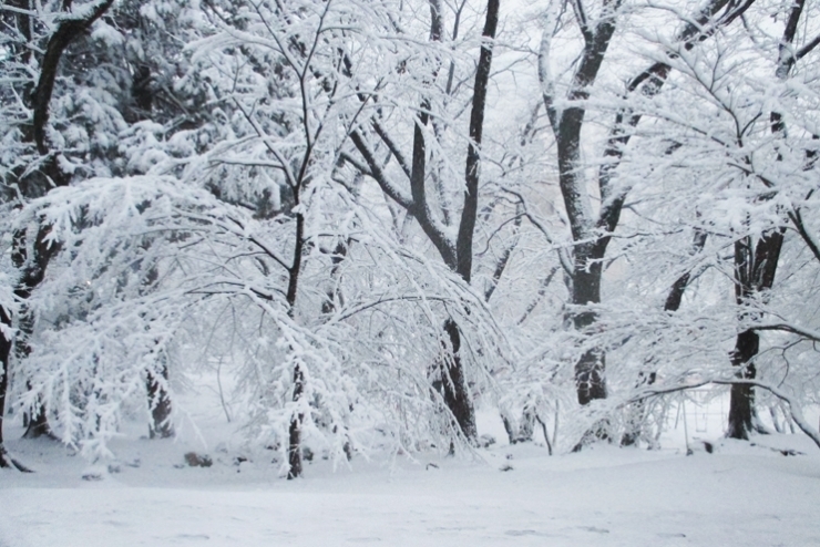 雪中のバレリーナ１　両手を広げて　ご挨拶　さあー始めよう