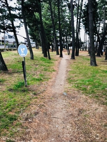 犬の散歩道