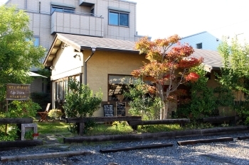 夏から秋にかけては紅葉と日差しの変化を楽しめます