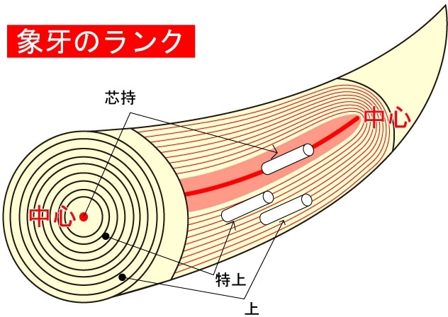 「欠けた印面を修復できるか相談を受けました」