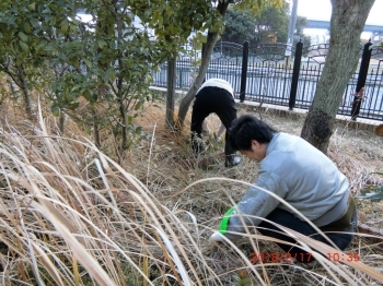 精力的な活動に頭が下がります。