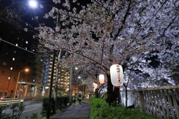 都電荒川線面影橋駅(左)と神田川(右)