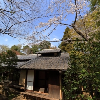 林芙美子記念館 (新宿区中井)