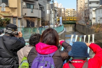 カメラを抱えた熟練世代の皆さん