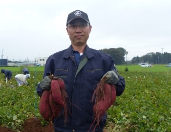 行方市甘藷研究会　会長　吉田賢一（よしだ　けんいち）氏