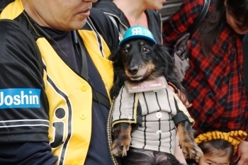 いつもの看板犬ジャスミンちゃんも参加です。