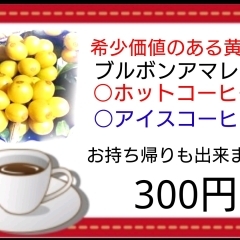 ブルボンアマレロコーヒー