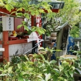 林神社で行われたお饅頭のお祭り、饅頭祭に行ってきました♪