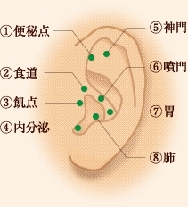 こちらが耳つぼのおススメ箇所