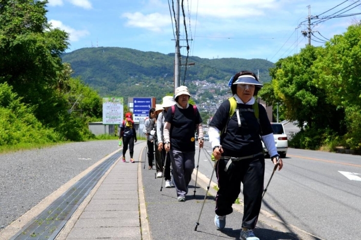 雄大な生駒山を背に歩き続ける参加者たち