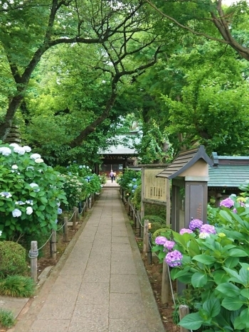 小さな庭園の出口です。