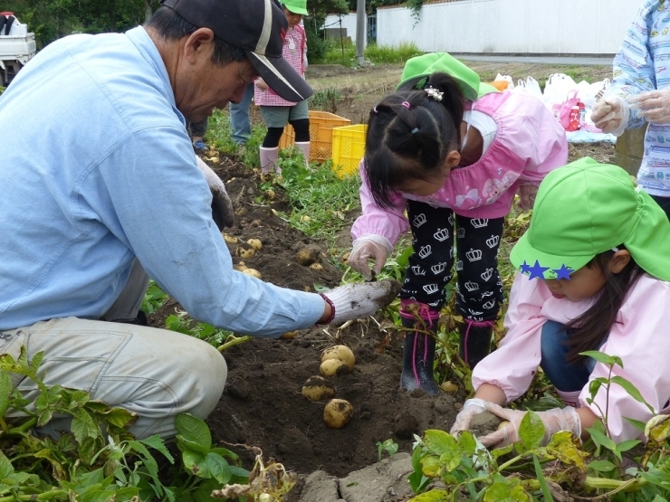 「みて、みて！カエルの赤ちゃんがいたよ」と、大久保さんの大きな手に小さなカエルをのせて…