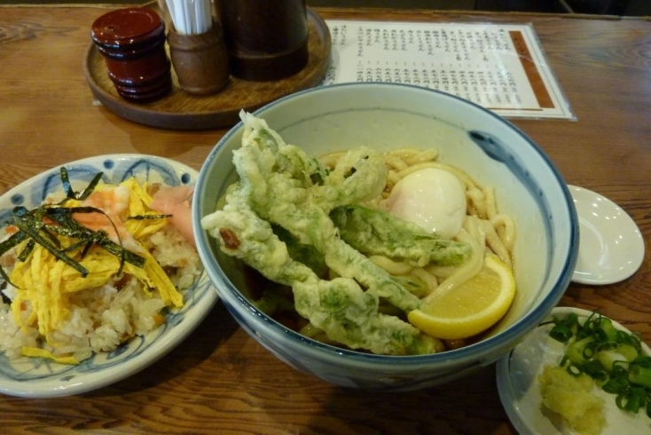 「今日のお昼ご飯　春を感じる　“菜の花うどん”！！　(o^-^o)  『四國うどん　樣』　（寝屋川　香里園　萱島　ランチ　宴会　うまい）　」