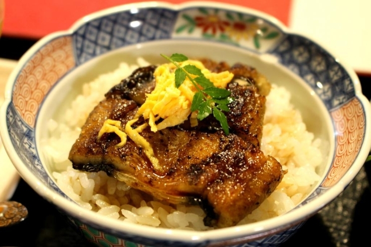 うなぎご飯（錦糸卵のせ）　浜松直送の鰻がジューシー！