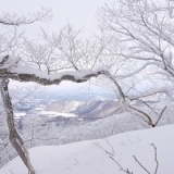 恒例企画！　スノーシューで楽しむ冬の大山♪