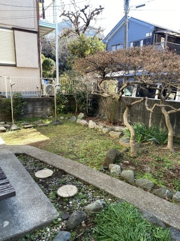 お庭「お隣、松戸市の４SLDK戸建貸家ご紹介」