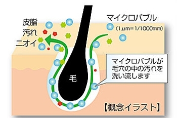 「株式会社ジェイ・エスさせぼ」