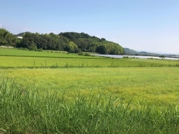 田園風景