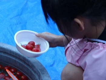 子どもたちはトマトすくいがとても上手です！　振興センターのお兄さんたちもビックリ！！