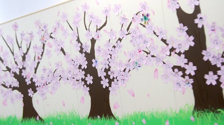 「郡津の桜は、4月7日が満開見頃ですよ！」