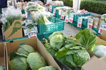 野菜の販売