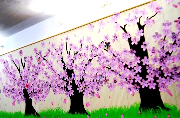 「郡津の桜、一気に咲きほこってきましたよ！！」