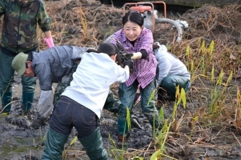 大阪国際大学人間科学部人間健康科学科の<br>喜多野先生も学生達と一緒に蓮根掘りに<br>挑戦してくれました。