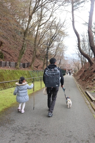 娘と犬「休日のお散歩！」