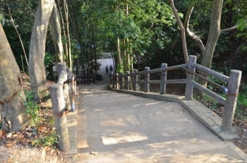 柿田川公園の一番奥の階段を下ります