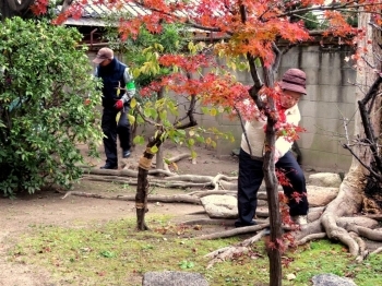 少し紅葉を楽しめました