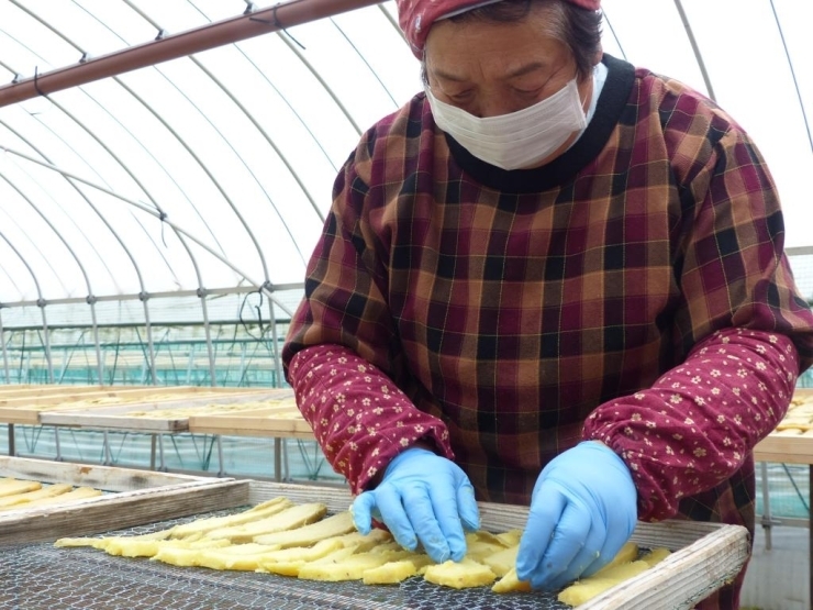 一つ一つ手作業で天日干しすることで、甘く美味しい干し芋になります