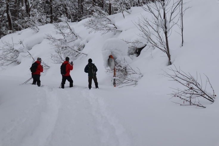カーブミラーが雪でこんなに埋もれてます！「《飯豊町スノーシューツアー》に参加してきました！」