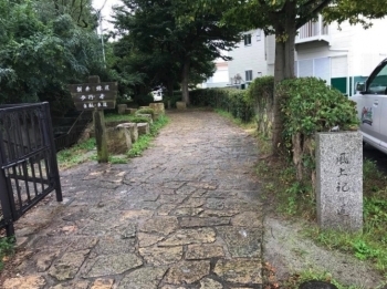 新井緑道2